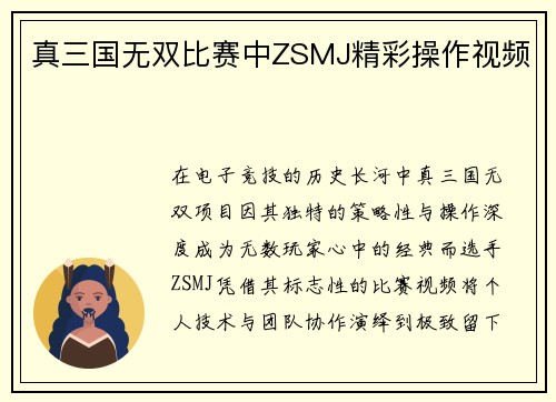 真三国无双比赛中ZSMJ精彩操作视频