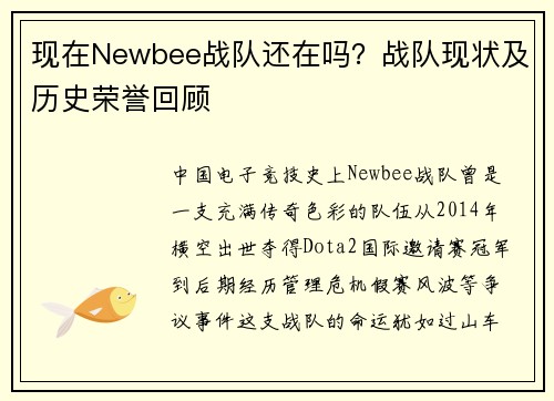 现在Newbee战队还在吗？战队现状及历史荣誉回顾